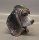 latest
new item latest
new item