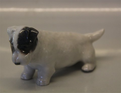 Royal Copenhagen dog figurine 3086-1452 RC Sealyham squatting Th. Madsen 5 cm 
black and white