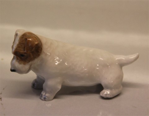 Royal Copenhagen dog figurine 3086- 1452 RC Sealyham squatting 6,5 x 12.5 cm Th. 
Madsen