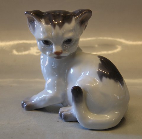 Rare Lyngby Porcelain 08 Cat 12 x 14 cm
