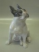 Royal Copenhagen figurine 
0956 RC French Bulldog Designed by Knud Kyhn in 1908