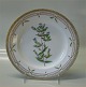 Flora Danica Danish Porcelain
20-3549 Traditional Dinner Plate: Centiana campestris L. New # 624 10" (From 
the year 1958)