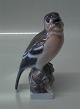Lyngby Porcelænsfigur # 07 Fugl: Bogfinke (Fringilla coelebs)
