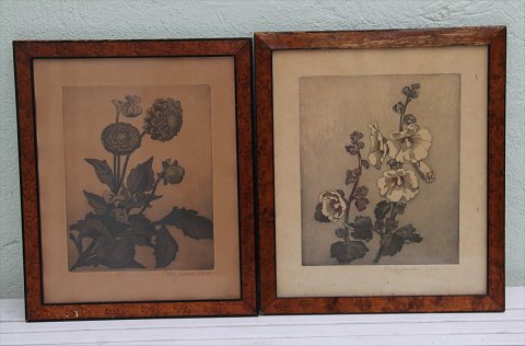 item no: 154398