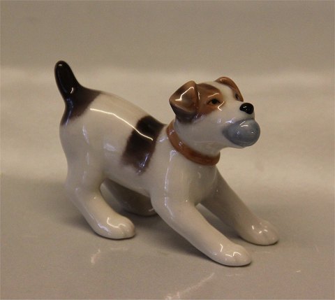 Kongelig Dansk 0749 Kgl. Fox Terrier med bold "Catcher" 6 x 8 cm Nyt #1020 749