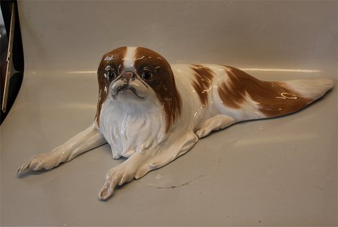 Royal Copenhagen figurine 0442 RC Pekingese Erik Nielsen 1903 15 x 53 cm
