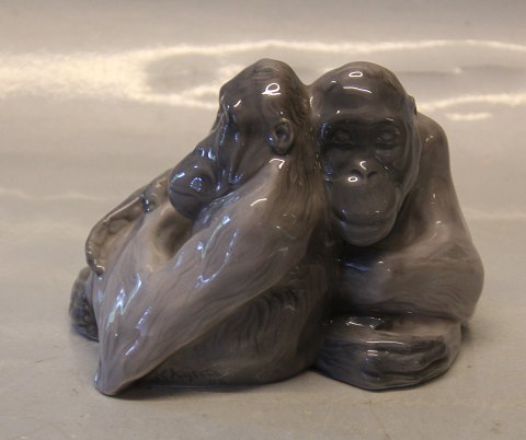 Royal Copenhagen 721 RC Orangutans - Monkey pair 10 x 14 cm Knud Kyhn 1906 
