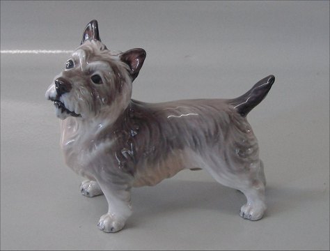 item no: 54490