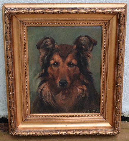 Dog Painting: Border Collie Signed "BOB" Simon Simonsen 1910  26 Oild on canvas 
49 x 41 cm