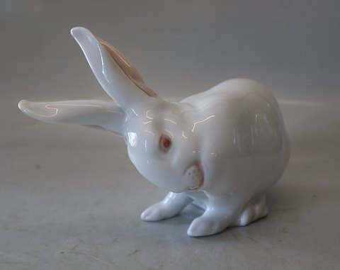 0378 RC White Rabbit Scratching 13 x 19 cm Design Erik Nielsen 1902 EN pre 1923
 Royal Copenhagen