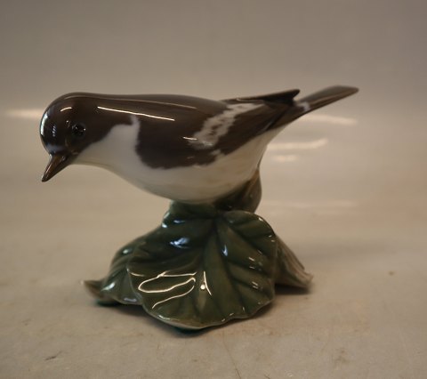2144 RC Flycatcher 8 x 13 cm Platten Hallermundt 1920 Royal Copenhagen