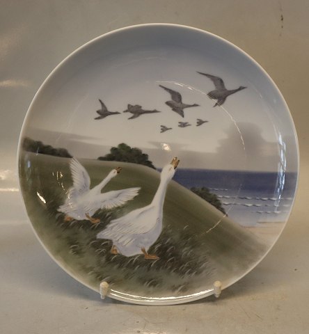 Royal Copenhagen Bird plate 1508-1125 Plate geese 25 cm