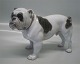 B&G Figurine B&G 2110 Bing & Grondahl English Buldog ca. 16 x 24 cm