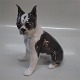 B&G figur
B&G 2330 Boston Terrier 19 cm