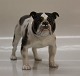 B&G hundefigur
B&G 2082 Engelsk Bulldog 14 x ca 22 cm