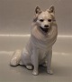 Royal Copenhagen figurine 0977 RC White Spitz - Siberian Husky ? AP/AN 18 x 17 
cm