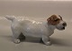 Royal Copenhagen dog figurine 3085- 1453 RC Sealyham standing 6.5 x 13 cm Th. 
Madsen Brown version
