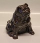 Kongelig Dansk Stentøj Knud Kyhn English Bulldog 1911  17 x 14 cm