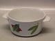 Dan-Ild 50  Fruit and Vegetables Pan with ears 7 x 19 cm
