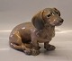 Royal Copenhagen figurine  0850 RC Dachshund Designed by Erik Nielsen 1907 22 x 
30 cm Color Code 1238