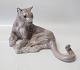 Dahl Jensen mountain Lion 1019