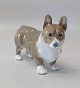 Royal Copenhagen figurine 4593 RC Welsh Corgi 13 x 18.5 cm