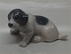 Royal Copenhagen figurine 1311 RC Pointer puppy Designed by Erik Nielsen 1911 5 
x 11 cm