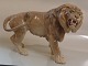 B&G Huge wild cat: Male lion 2052 24 x 36 cm