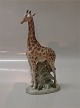 Royal Copenhagen figurine 3655 Giraffen Holger Christensen 25.5 cm x ca 14 cm
