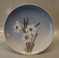 Decorative wall hanging plates