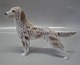 Royal Copenhagen figurine 
3252 RC Irish Setter TM 15 x 20 cm orange